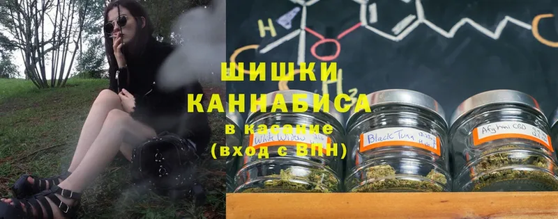 сколько стоит  Звенигород  Бошки марихуана конопля 